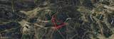 0 Ketoma Pass - Photo 4