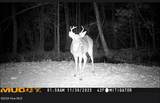 8678 Joe Brown Highway - Photo 44