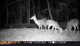 8678 Joe Brown Highway - Photo 45