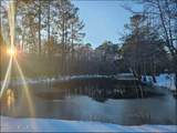 8678 Joe Brown Highway - Photo 48