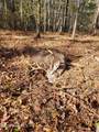 000 Court Ground Road - Photo 46