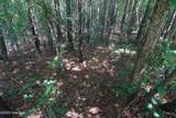 0 Crowatan Trail - Photo 15