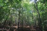 0 Crowatan Trail - Photo 5