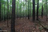 0 Crowatan Trail - Photo 7
