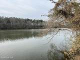 355.7 Horseshoe Road - Photo 2