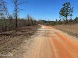 355.7 Horseshoe Road - Photo 7
