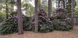 335 Swoope Drive - Photo 39