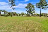 1007 Natural Springs Way - Photo 31