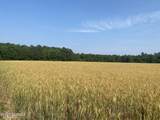 Near 8755 Andrew Jackson Highway - Photo 11