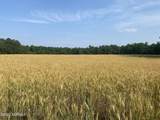 Near 8755 Andrew Jackson Highway - Photo 7