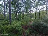 33 Mixon Creek Drive - Photo 10