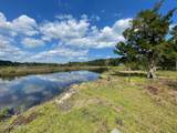 241 Thomas Drive - Photo 2