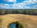 Tbd Mccausley Road - Photo 15