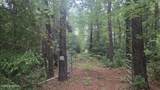 Tbd Catfish Lake Road - Photo 7