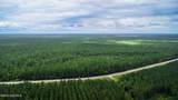 Tbd Catfish Lake Road - Photo 14