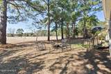 205 Port Side Drive - Photo 49