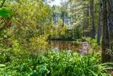 235 Griffin Lake Road - Photo 55