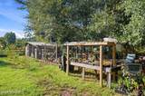 7147 Stag Park Road - Photo 27