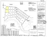4002 Barnes Bluff Drive - Photo 8