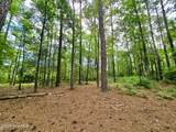 51 Sunfield Drive - Photo 47