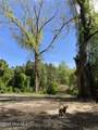 316 Bayview Road - Photo 5