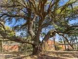 8612 Bald Eagle Lane - Photo 14