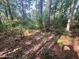 Lot 2 & 3 Strawhorn Creek Road - Photo 10
