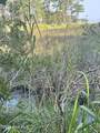 Lot 2 & 3 Strawhorn Creek Road - Photo 6