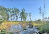 Lot 2 & 3 Strawhorn Creek Road - Photo 9