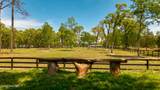 392 Buffalo Creek Road - Photo 5