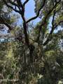 2 Gray Fox Court - Photo 8