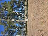 3810 Windy Point Road - Photo 6