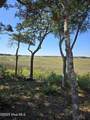3810 Windy Point Road - Photo 8