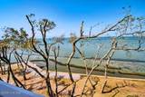 1700 Salter Path Road - Photo 10