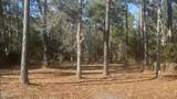 625 Vandemere Creek Drive - Photo 3