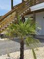 514 Harvest Point Road - Photo 59