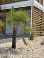 514 Harvest Point Road - Photo 60