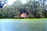5570 Lancaster Store Road - Photo 6