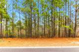 3772 Silver Melon Road - Photo 15