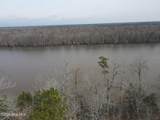 Lot 12 River Bluff Drive - Photo 3
