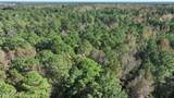 1 Ac. Money Hole Road - Photo 4