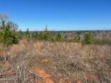 355.7 Horseshoe Road - Photo 5