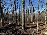 2389 Sierra Trace Road - Photo 13