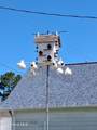 104 Locust Street - Photo 61