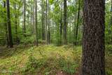 8942 Spearman Road - Photo 13