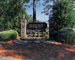30080 Loblolly Court - Photo 64