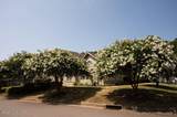 123 Chelsea Court - Photo 109