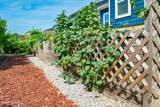 3146 Wayne Drive - Photo 47