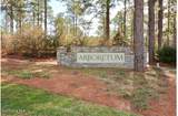 170 Broom Sedge Lane - Photo 58