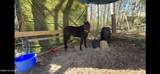 2659 Seashore Road - Photo 72
